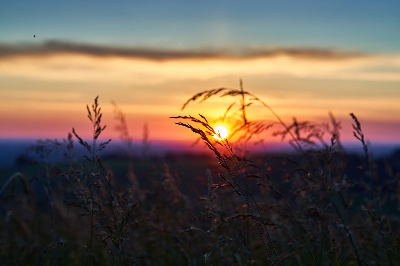 Paysage Couché de soleil 0227